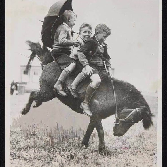 🌻Meet your Posher, Janice🌻 - Picture 2 of 2